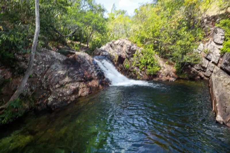  <div class='credito_fotos'>Foto: Alex Ribeiro / Ag. Pará &nbsp;&nbsp;|&nbsp;&nbsp; <a href='/midias/2025/originais/20250717145311-GF00024230-F00423669.jpg' download><i class='fa-solid fa-download'></i> Download</a></div>