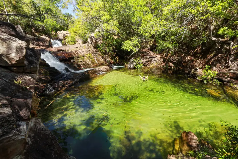  <div class='credito_fotos'>Foto: Alex Ribeiro / Ag. Pará &nbsp;&nbsp;|&nbsp;&nbsp; <a href='/midias/2025/originais/20250717145314-GF00024230-F00423670.jpg' download><i class='fa-solid fa-download'></i> Download</a></div>