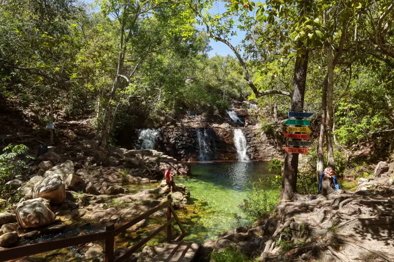  <div class='credito_fotos'>Foto: Alex Ribeiro / Ag. Pará &nbsp;&nbsp;|&nbsp;&nbsp; <a href='/midias/2025/originais/20250717145316-GF00024230-F00423671.jpg' download><i class='fa-solid fa-download'></i> Download</a></div>