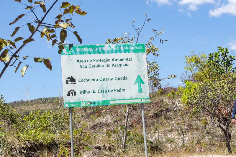  <div class='credito_fotos'>Foto: Alex Ribeiro / Ag. Pará &nbsp;&nbsp;|&nbsp;&nbsp; <a href='/midias/2025/originais/20250717145318-GF00024230-F00423672.jpg' download><i class='fa-solid fa-download'></i> Download</a></div>