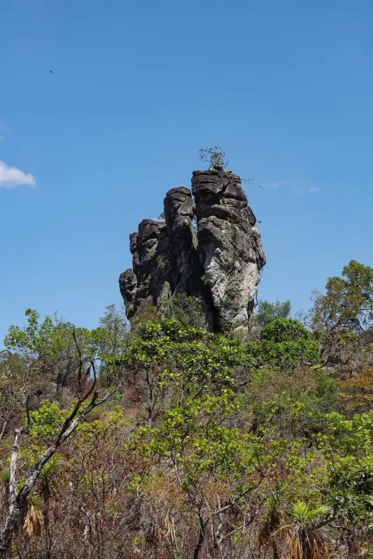  <div class='credito_fotos'>Foto: Alex Ribeiro / Ag. Pará &nbsp;&nbsp;|&nbsp;&nbsp; <a href='/midias/2025/originais/20250717145322-GF00024230-F00423674.jpg' download><i class='fa-solid fa-download'></i> Download</a></div>