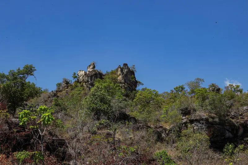  <div class='credito_fotos'>Foto: Alex Ribeiro / Ag. Pará &nbsp;&nbsp;|&nbsp;&nbsp; <a href='/midias/2025/originais/20250717145324-GF00024230-F00423675.jpg' download><i class='fa-solid fa-download'></i> Download</a></div>
