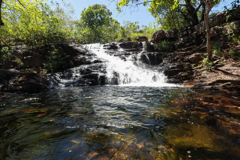  <div class='credito_fotos'>Foto: Alex Ribeiro / Ag. Pará &nbsp;&nbsp;|&nbsp;&nbsp; <a href='/midias/2025/originais/20250717145331-GF00024230-F00423678.jpg' download><i class='fa-solid fa-download'></i> Download</a></div>