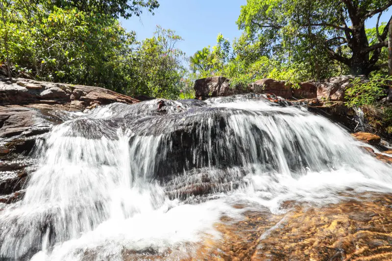  <div class='credito_fotos'>Foto: Alex Ribeiro / Ag. Pará &nbsp;&nbsp;|&nbsp;&nbsp; <a href='/midias/2025/originais/20250717145335-GF00024230-F00423680.jpg' download><i class='fa-solid fa-download'></i> Download</a></div>
