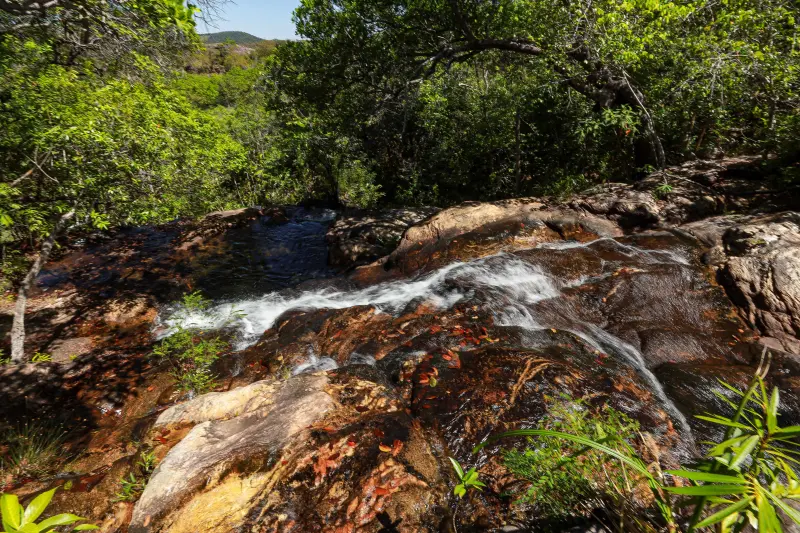  <div class='credito_fotos'>Foto: Alex Ribeiro / Ag. Pará &nbsp;&nbsp;|&nbsp;&nbsp; <a href='/midias/2025/originais/20250717145337-GF00024230-F00423681.jpg' download><i class='fa-solid fa-download'></i> Download</a></div>