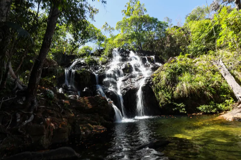  <div class='credito_fotos'>Foto: Alex Ribeiro / Ag. Pará &nbsp;&nbsp;|&nbsp;&nbsp; <a href='/midias/2025/originais/20250717145341-GF00024230-F00423683.jpg' download><i class='fa-solid fa-download'></i> Download</a></div>