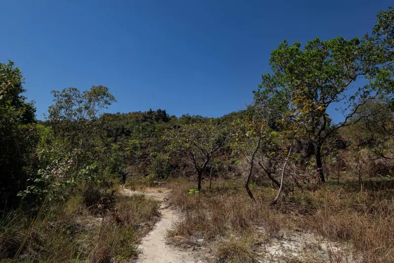  <div class='credito_fotos'>Foto: Alex Ribeiro / Ag. Pará &nbsp;&nbsp;|&nbsp;&nbsp; <a href='/midias/2025/originais/20250717145343-GF00024230-F00423684.jpg' download><i class='fa-solid fa-download'></i> Download</a></div>