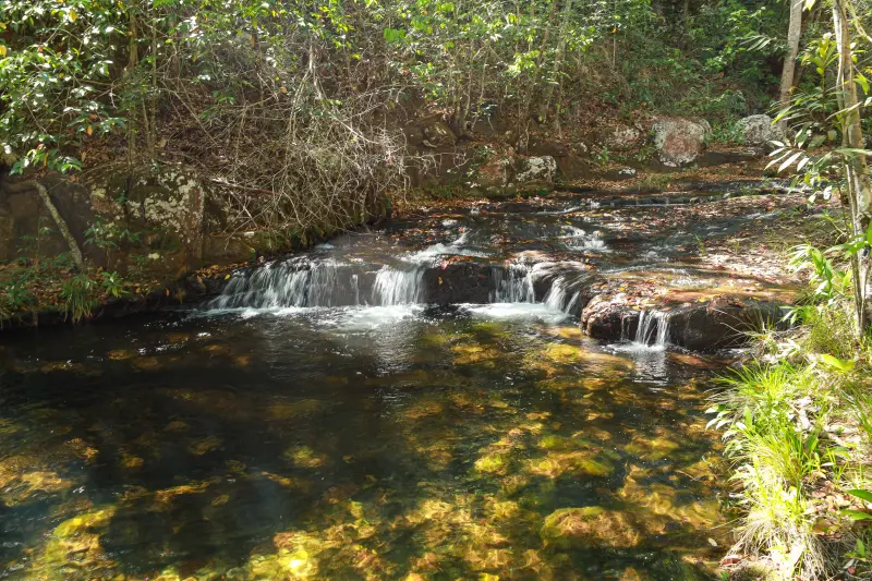 <div class='credito_fotos'>Foto: Alex Ribeiro / Ag. Pará &nbsp;&nbsp;|&nbsp;&nbsp; <a href='/midias/2025/originais/20250717145345-GF00024230-F00423685.jpg' download><i class='fa-solid fa-download'></i> Download</a></div>