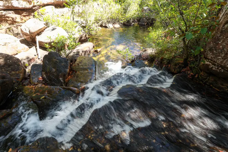  <div class='credito_fotos'>Foto: Alex Ribeiro / Ag. Pará &nbsp;&nbsp;|&nbsp;&nbsp; <a href='/midias/2025/originais/20250717145347-GF00024230-F00423686.jpg' download><i class='fa-solid fa-download'></i> Download</a></div>