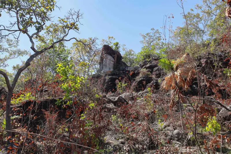  <div class='credito_fotos'>Foto: Alex Ribeiro / Ag. Pará &nbsp;&nbsp;|&nbsp;&nbsp; <a href='/midias/2025/originais/20250717145351-GF00024230-F00423688.jpg' download><i class='fa-solid fa-download'></i> Download</a></div>