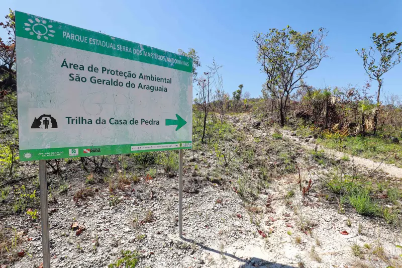  <div class='credito_fotos'>Foto: Alex Ribeiro / Ag. Pará &nbsp;&nbsp;|&nbsp;&nbsp; <a href='/midias/2025/originais/20250717145353-GF00024230-F00423689.jpg' download><i class='fa-solid fa-download'></i> Download</a></div>