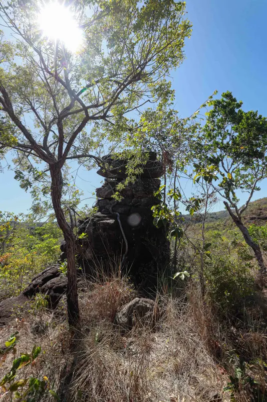  <div class='credito_fotos'>Foto: Alex Ribeiro / Ag. Pará &nbsp;&nbsp;|&nbsp;&nbsp; <a href='/midias/2025/originais/20250717145405-GF00024230-F00423694.jpg' download><i class='fa-solid fa-download'></i> Download</a></div>