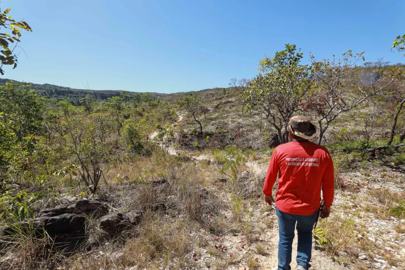  <div class='credito_fotos'>Foto: Alex Ribeiro / Ag. Pará &nbsp;&nbsp;|&nbsp;&nbsp; <a href='/midias/2025/originais/20250717145412-GF00024230-F00423697.jpg' download><i class='fa-solid fa-download'></i> Download</a></div>