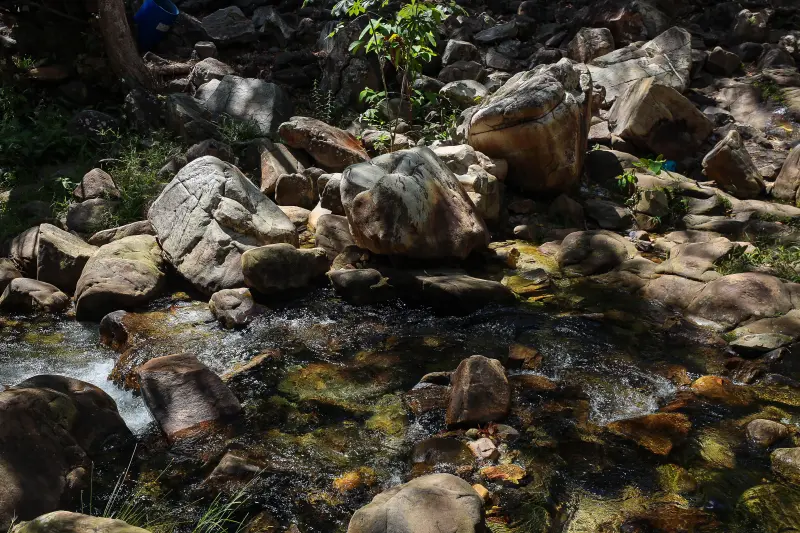  <div class='credito_fotos'>Foto: Bruno Cruz / Ag. Pará &nbsp;&nbsp;|&nbsp;&nbsp; <a href='/midias/2025/originais/20250717145857-GF00024231-F00423701.jpg' download><i class='fa-solid fa-download'></i> Download</a></div>