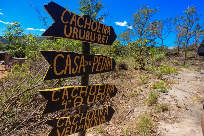  <div class='credito_fotos'>Foto: Bruno Cruz / Ag. Pará &nbsp;&nbsp;|&nbsp;&nbsp; <a href='/midias/2025/originais/20250717145905-GF00024231-F00423706.jpg' download><i class='fa-solid fa-download'></i> Download</a></div>