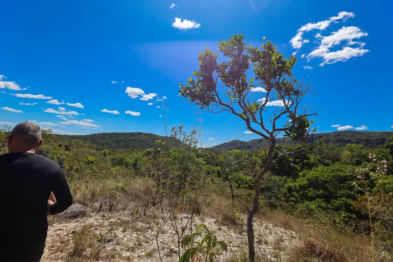  <div class='credito_fotos'>Foto: Bruno Cruz / Ag. Pará &nbsp;&nbsp;|&nbsp;&nbsp; <a href='/midias/2025/originais/20250717145907-GF00024231-F00423708.jpg' download><i class='fa-solid fa-download'></i> Download</a></div>