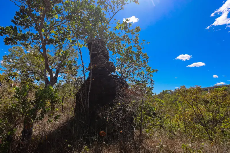  <div class='credito_fotos'>Foto: Bruno Cruz / Ag. Pará &nbsp;&nbsp;|&nbsp;&nbsp; <a href='/midias/2025/originais/20250717145910-GF00024231-F00423710.jpg' download><i class='fa-solid fa-download'></i> Download</a></div>