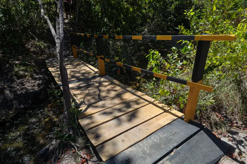  <div class='credito_fotos'>Foto: Bruno Cruz / Ag. Pará &nbsp;&nbsp;|&nbsp;&nbsp; <a href='/midias/2025/originais/20250717145912-GF00024231-F00423711.jpg' download><i class='fa-solid fa-download'></i> Download</a></div>