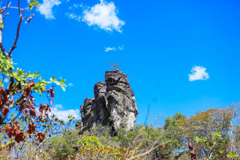  <div class='credito_fotos'>Foto: Bruno Cruz / Ag. Pará &nbsp;&nbsp;|&nbsp;&nbsp; <a href='/midias/2025/originais/20250717145919-GF00024231-F00423716.jpg' download><i class='fa-solid fa-download'></i> Download</a></div>