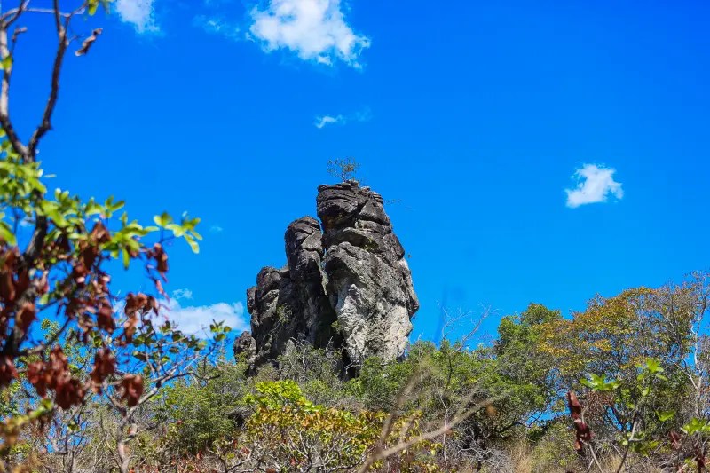  <div class='credito_fotos'>Foto: Bruno Cruz / Ag. Pará &nbsp;&nbsp;|&nbsp;&nbsp; <a href='/midias/2025/originais/20250717145920-GF00024231-F00423717.jpg' download><i class='fa-solid fa-download'></i> Download</a></div>