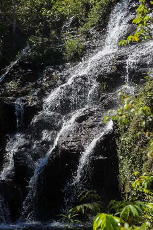  <div class='credito_fotos'>Foto: Bruno Cruz / Ag. Pará &nbsp;&nbsp;|&nbsp;&nbsp; <a href='/midias/2025/originais/20250717145923-GF00024231-F00423719.jpg' download><i class='fa-solid fa-download'></i> Download</a></div>