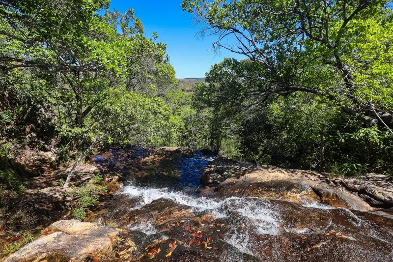  <div class='credito_fotos'>Foto: Bruno Cruz / Ag. Pará &nbsp;&nbsp;|&nbsp;&nbsp; <a href='/midias/2025/originais/20250717145929-GF00024231-F00423723.jpg' download><i class='fa-solid fa-download'></i> Download</a></div>