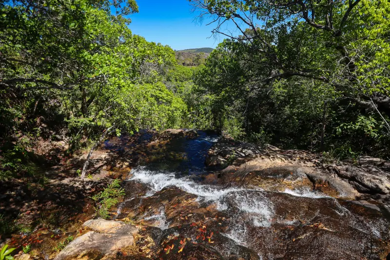  <div class='credito_fotos'>Foto: Bruno Cruz / Ag. Pará &nbsp;&nbsp;|&nbsp;&nbsp; <a href='/midias/2025/originais/20250717145931-GF00024231-F00423724.jpg' download><i class='fa-solid fa-download'></i> Download</a></div>