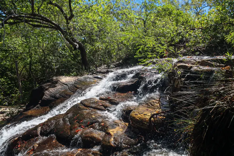  <div class='credito_fotos'>Foto: Bruno Cruz / Ag. Pará &nbsp;&nbsp;|&nbsp;&nbsp; <a href='/midias/2025/originais/20250717145932-GF00024231-F00423725.jpg' download><i class='fa-solid fa-download'></i> Download</a></div>