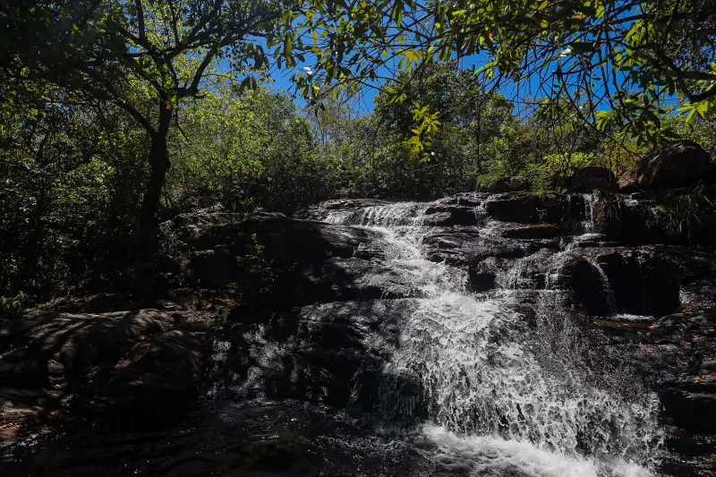  <div class='credito_fotos'>Foto: Bruno Cruz / Ag. Pará &nbsp;&nbsp;|&nbsp;&nbsp; <a href='/midias/2025/originais/20250717145933-GF00024231-F00423726.jpg' download><i class='fa-solid fa-download'></i> Download</a></div>