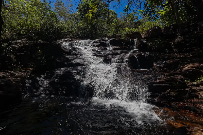  <div class='credito_fotos'>Foto: Bruno Cruz / Ag. Pará &nbsp;&nbsp;|&nbsp;&nbsp; <a href='/midias/2025/originais/20250717145935-GF00024231-F00423727.jpg' download><i class='fa-solid fa-download'></i> Download</a></div>