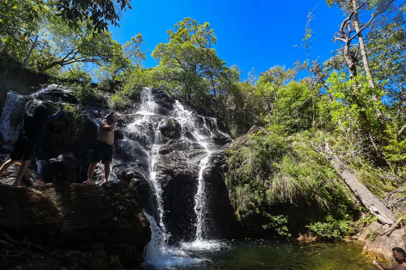  <div class='credito_fotos'>Foto: Bruno Cruz / Ag. Pará &nbsp;&nbsp;|&nbsp;&nbsp; <a href='/midias/2025/originais/20250717145938-GF00024231-F00423729.jpg' download><i class='fa-solid fa-download'></i> Download</a></div>