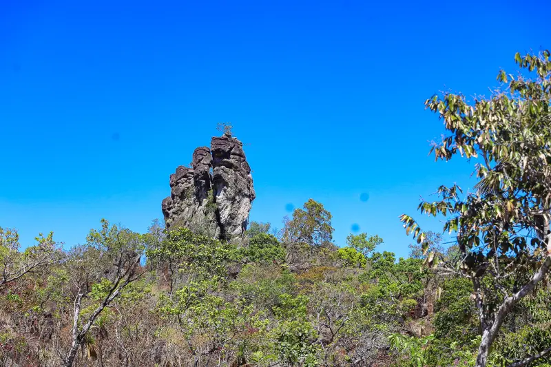  <div class='credito_fotos'>Foto: Bruno Cruz / Ag. Pará &nbsp;&nbsp;|&nbsp;&nbsp; <a href='/midias/2025/originais/20250717145945-GF00024231-F00423734.jpg' download><i class='fa-solid fa-download'></i> Download</a></div>