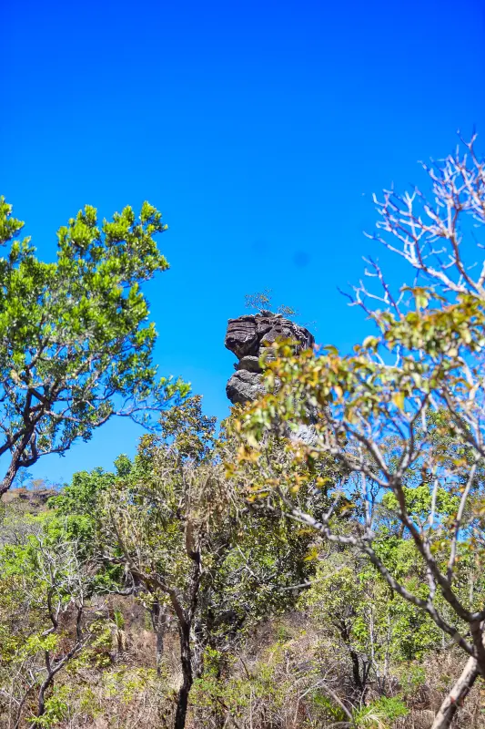  <div class='credito_fotos'>Foto: Bruno Cruz / Ag. Pará &nbsp;&nbsp;|&nbsp;&nbsp; <a href='/midias/2025/originais/20250717145947-GF00024231-F00423735.jpg' download><i class='fa-solid fa-download'></i> Download</a></div>