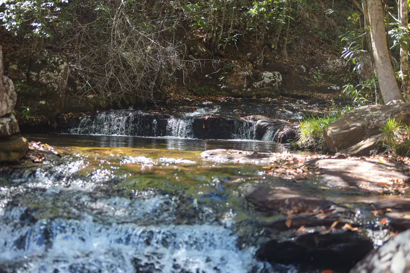  <div class='credito_fotos'>Foto: Bruno Cruz / Ag. Pará &nbsp;&nbsp;|&nbsp;&nbsp; <a href='/midias/2025/originais/20250717145949-GF00024231-F00423736.jpg' download><i class='fa-solid fa-download'></i> Download</a></div>