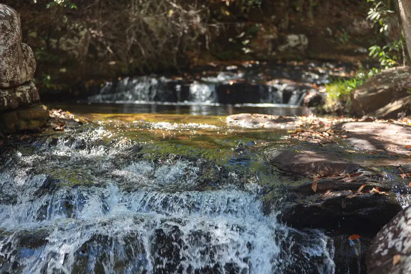  <div class='credito_fotos'>Foto: Bruno Cruz / Ag. Pará &nbsp;&nbsp;|&nbsp;&nbsp; <a href='/midias/2025/originais/20250717145950-GF00024231-F00423737.jpg' download><i class='fa-solid fa-download'></i> Download</a></div>