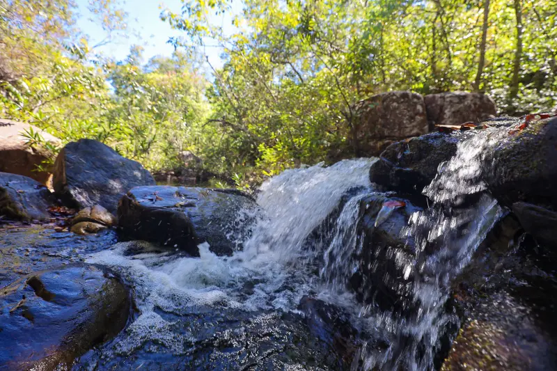  <div class='credito_fotos'>Foto: Bruno Cruz / Ag. Pará &nbsp;&nbsp;|&nbsp;&nbsp; <a href='/midias/2025/originais/20250717145951-GF00024231-F00423738.jpg' download><i class='fa-solid fa-download'></i> Download</a></div>