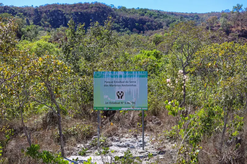  <div class='credito_fotos'>Foto: Bruno Cruz / Ag. Pará &nbsp;&nbsp;|&nbsp;&nbsp; <a href='/midias/2025/originais/20250717145954-GF00024231-F00423740.jpg' download><i class='fa-solid fa-download'></i> Download</a></div>