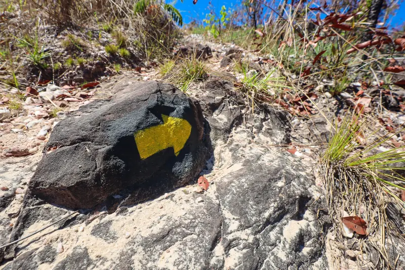  <div class='credito_fotos'>Foto: Bruno Cruz / Ag. Pará &nbsp;&nbsp;|&nbsp;&nbsp; <a href='/midias/2025/originais/20250717145959-GF00024231-F00423743.jpg' download><i class='fa-solid fa-download'></i> Download</a></div>