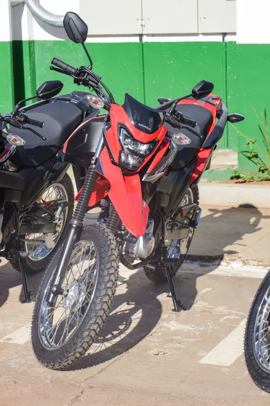  <div class='credito_fotos'>Foto: Pedro Guerreiro / Ag. Pará &nbsp;&nbsp;|&nbsp;&nbsp; <a href='/midias/2025/originais/20250717164010-GF00024233-F00423752.jpg' download><i class='fa-solid fa-download'></i> Download</a></div>