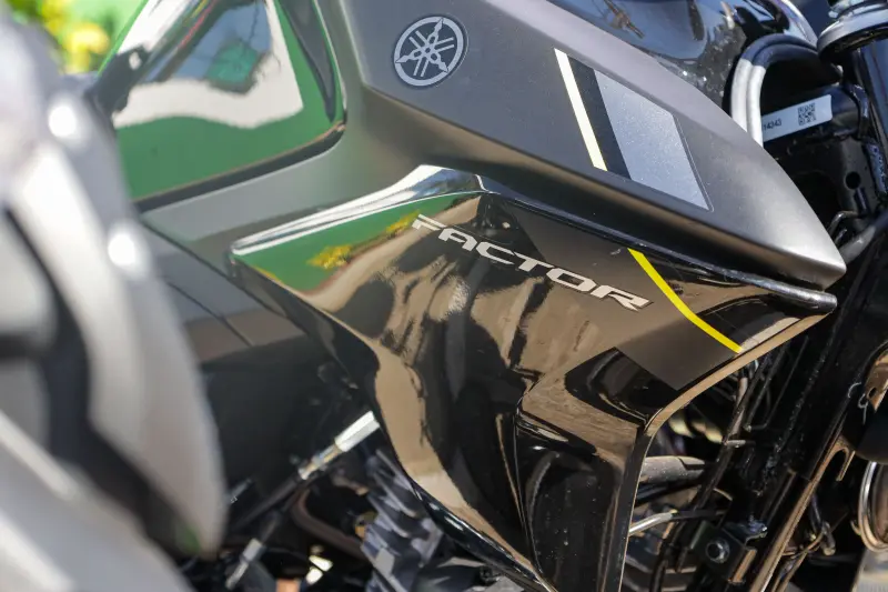  <div class='credito_fotos'>Foto: Pedro Guerreiro / Ag. Pará &nbsp;&nbsp;|&nbsp;&nbsp; <a href='/midias/2025/originais/20250717164030-GF00024233-F00423762.jpg' download><i class='fa-solid fa-download'></i> Download</a></div>