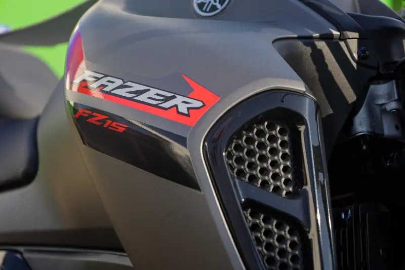  <div class='credito_fotos'>Foto: Pedro Guerreiro / Ag. Pará &nbsp;&nbsp;|&nbsp;&nbsp; <a href='/midias/2025/originais/20250717164032-GF00024233-F00423763.jpg' download><i class='fa-solid fa-download'></i> Download</a></div>