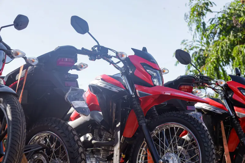  <div class='credito_fotos'>Foto: Pedro Guerreiro / Ag. Pará &nbsp;&nbsp;|&nbsp;&nbsp; <a href='/midias/2025/originais/20250717164039-GF00024233-F00423767.jpg' download><i class='fa-solid fa-download'></i> Download</a></div>