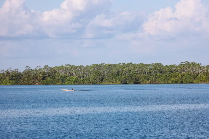  <div class='credito_fotos'>Foto: Marcelo Lelis / Ag. Pará &nbsp;&nbsp;|&nbsp;&nbsp; <a href='/midias/2025/originais/20250717181146-GF00024234-F00423794.jpg' download><i class='fa-solid fa-download'></i> Download</a></div>