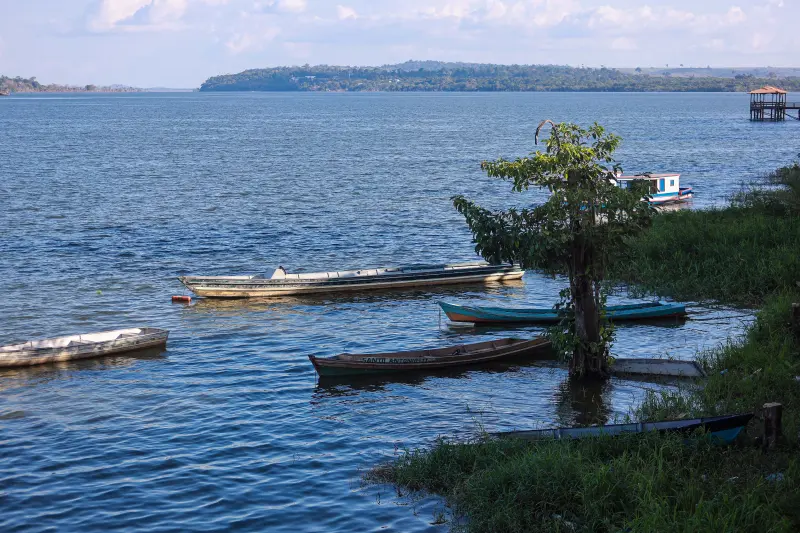  <div class='credito_fotos'>Foto: Marcelo Lelis / Ag. Pará &nbsp;&nbsp;|&nbsp;&nbsp; <a href='/midias/2025/originais/20250717181150-GF00024234-F00423796.jpg' download><i class='fa-solid fa-download'></i> Download</a></div>