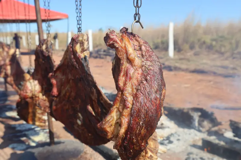  <div class='credito_fotos'>Foto: Bruno Cruz / Ag. Pará &nbsp;&nbsp;|&nbsp;&nbsp; <a href='/midias/2025/originais/20250718102732-GF00024239-F00423916.jpg' download><i class='fa-solid fa-download'></i> Download</a></div>