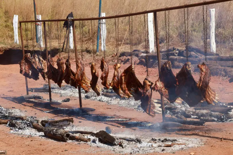  <div class='credito_fotos'>Foto: Alex Ribeiro / Ag. Pará &nbsp;&nbsp;|&nbsp;&nbsp; <a href='/midias/2025/originais/20250718112537-GF00024241-F00424000.jpg' download><i class='fa-solid fa-download'></i> Download</a></div>