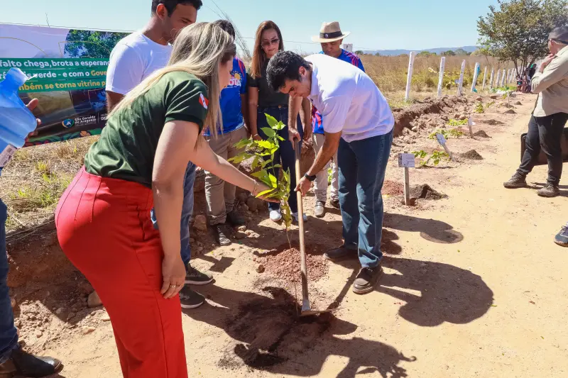  <div class='credito_fotos'>Foto: Alex Ribeiro / Ag. Pará &nbsp;&nbsp;|&nbsp;&nbsp; <a href='/midias/2025/originais/20250718142742-GF00024246-F00424111.jpg' download><i class='fa-solid fa-download'></i> Download</a></div>