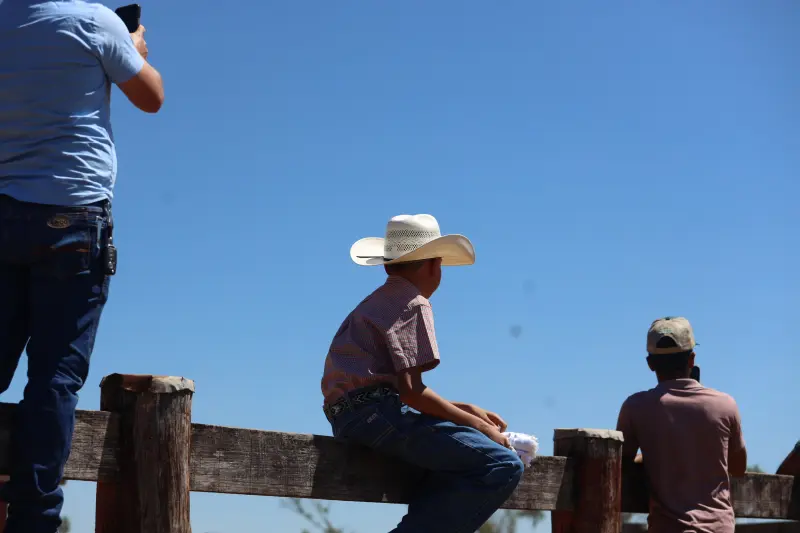  <div class='credito_fotos'>Foto: Bruno Cruz / Ag. Pará &nbsp;&nbsp;|&nbsp;&nbsp; <a href='/midias/2025/originais/20250718153400-GF00024247-F00424152.jpg' download><i class='fa-solid fa-download'></i> Download</a></div>