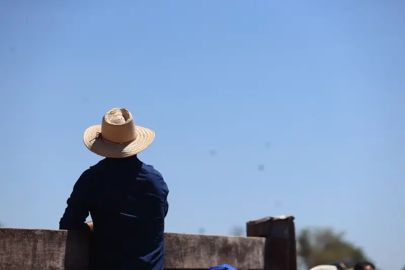  <div class='credito_fotos'>Foto: Bruno Cruz / Ag. Pará &nbsp;&nbsp;|&nbsp;&nbsp; <a href='/midias/2025/originais/20250718153402-GF00024247-F00424153.jpg' download><i class='fa-solid fa-download'></i> Download</a></div>