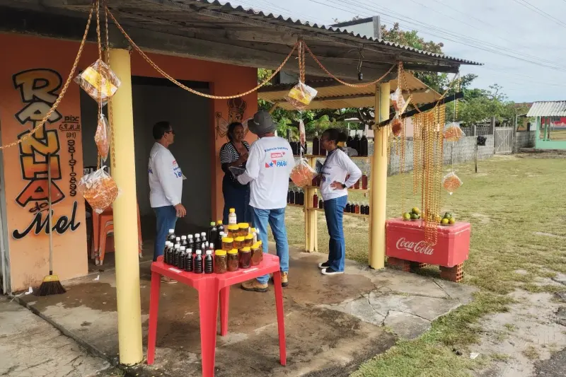 Na vila do mel, em Pirabas